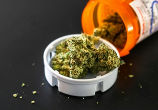 marijuana dried flower